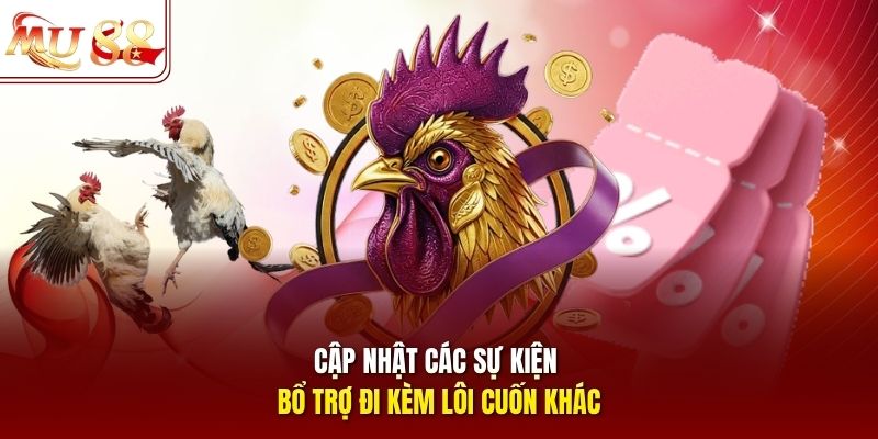 Cập nhật các sự kiện bổ trợ đi kèm lôi cuốn khác