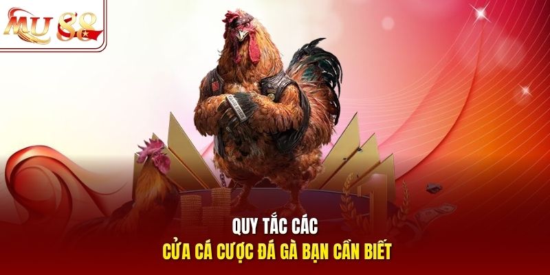 Quy tắc các cửa cá cược đá gà bạn cần biết